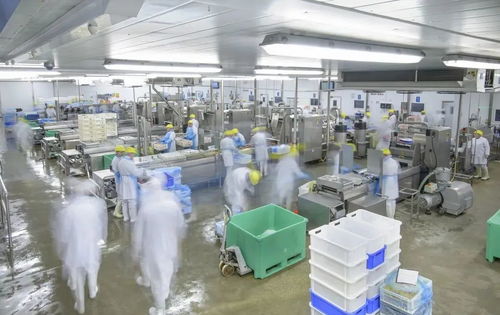 兩塊錢(qián)的烤腸用的什么肉,能放心吃嗎