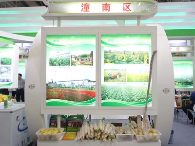 活動(dòng)聚焦 重慶——山城的魅力與活力