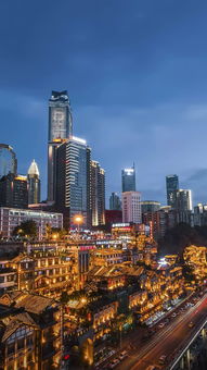 高考生物最全知識點匯總 一輪復(fù)習(xí)首選指南（重慶適用）