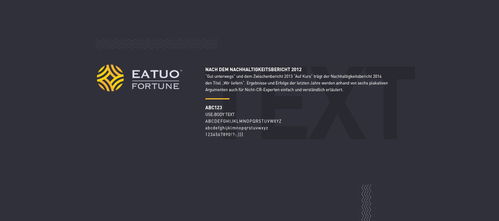 塑造卓越形象，鑄就財(cái)富投資企業(yè)的品牌之光